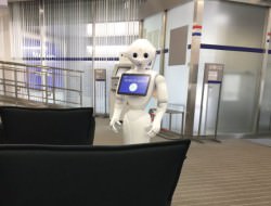 pepper